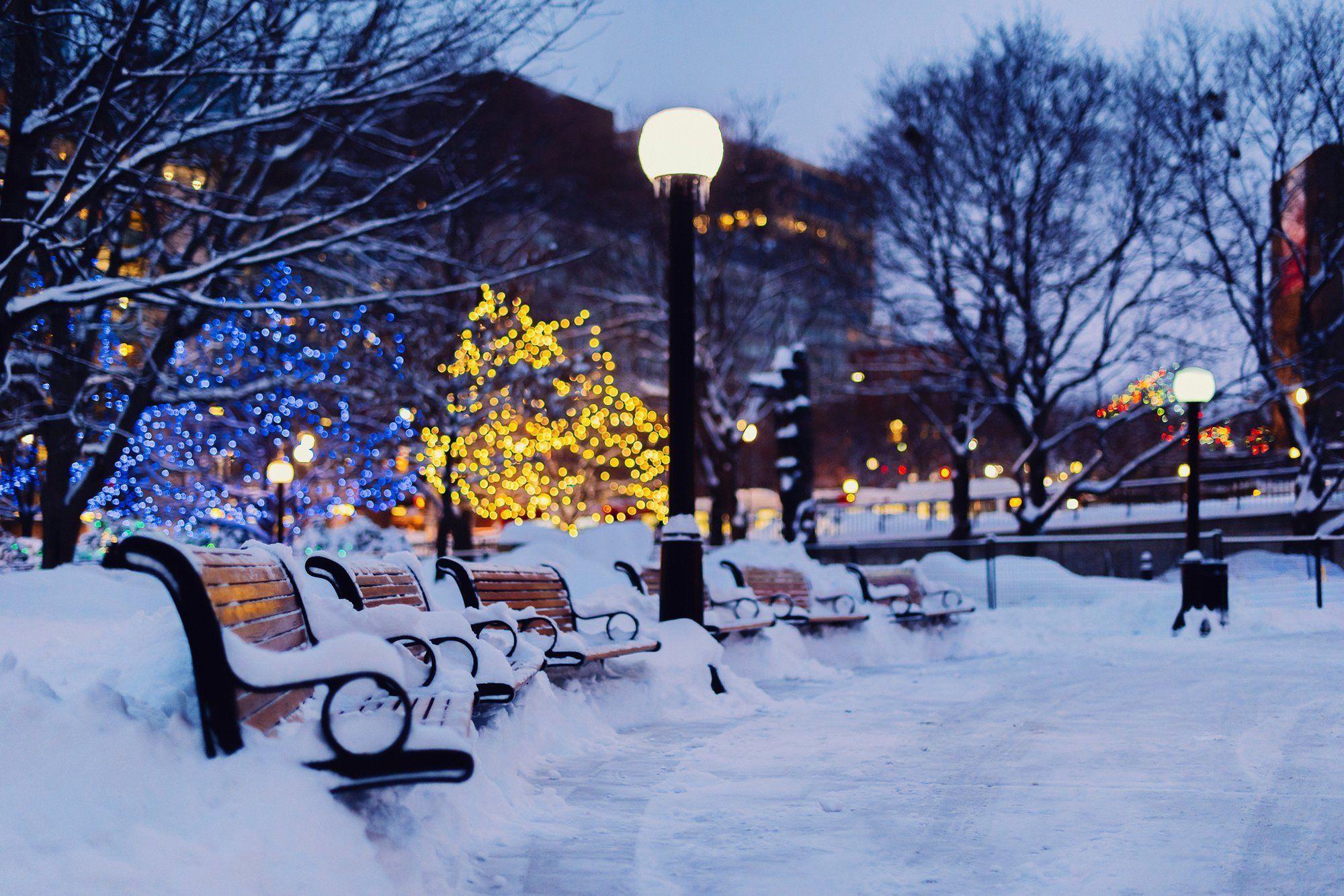 2000x1335 City Park Winter Wallpaper
