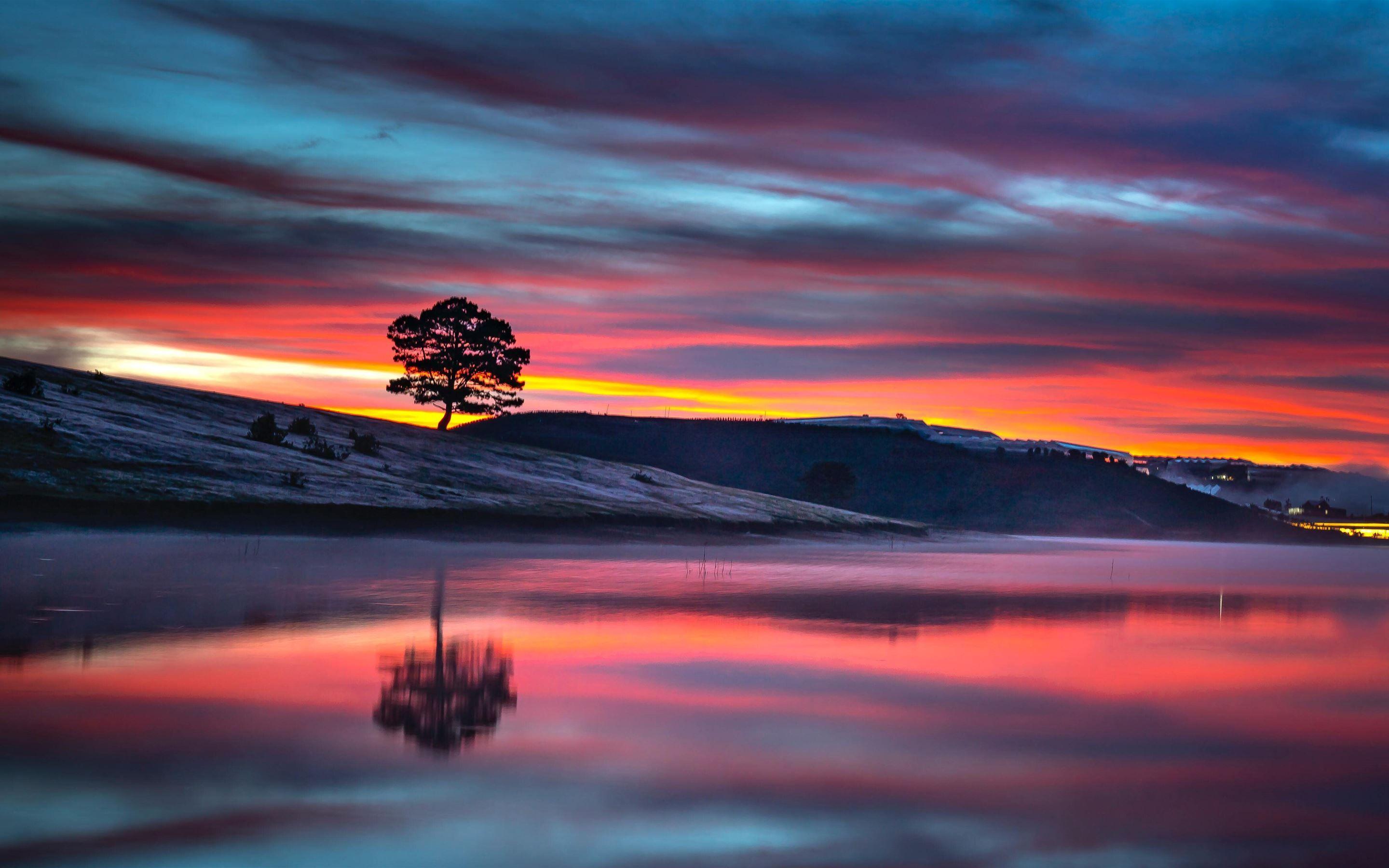2880x1800 reflection tree body 8k MacBook Air Wallpaper Download