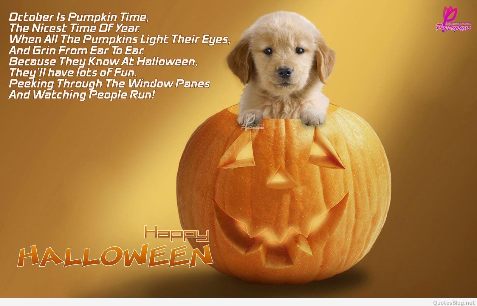 1600x1028 Halloween Quotes Famous Animal .