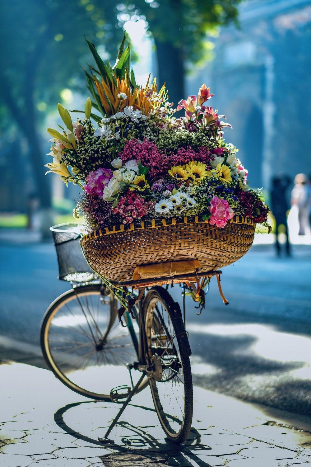 1000x1500 Autumn Flower Picture. Download Free Image