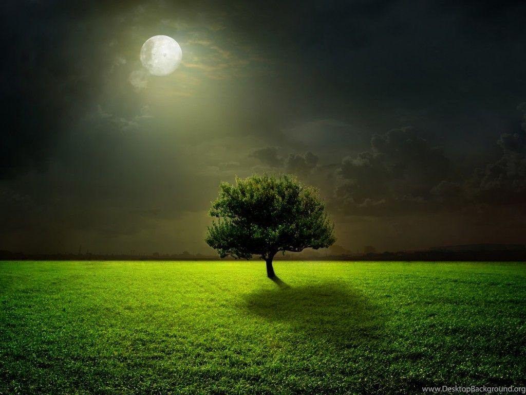 Green Night Wallpapers - Top Free Green Night Backgrounds - WallpaperAccess