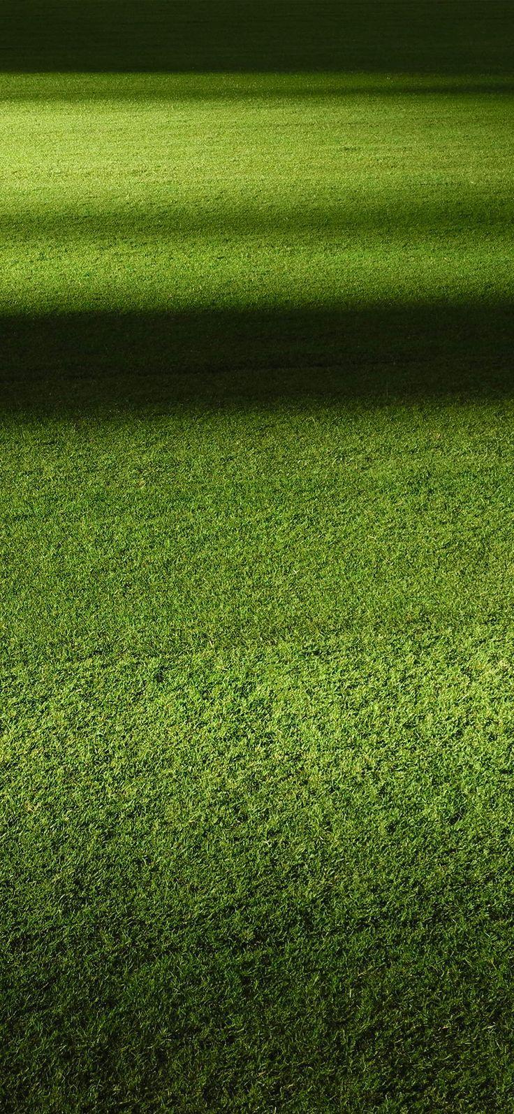 736x1593 Green Field iPhone Wallpaper