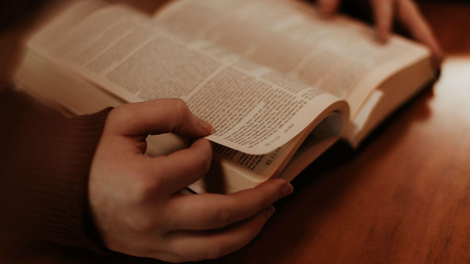 1920x1080 Nephilim in the Bible Tree Blog