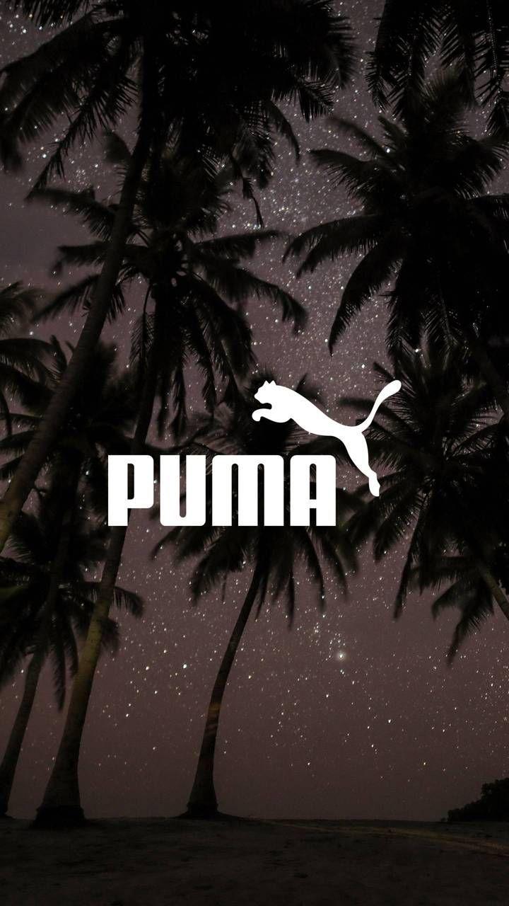 Puma Animal Wallpapers on WallpaperDog