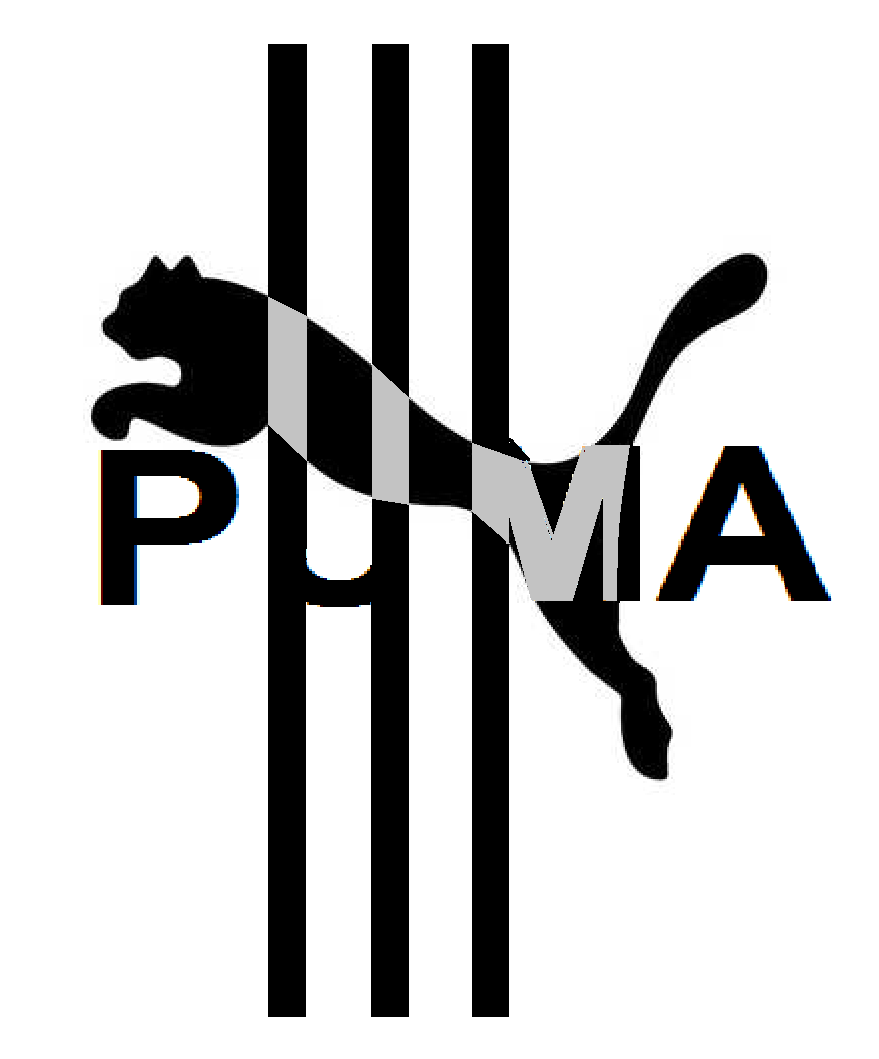 Puma iPhone Wallpapers - Top Free Puma iPhone Backgrounds - WallpaperAccess