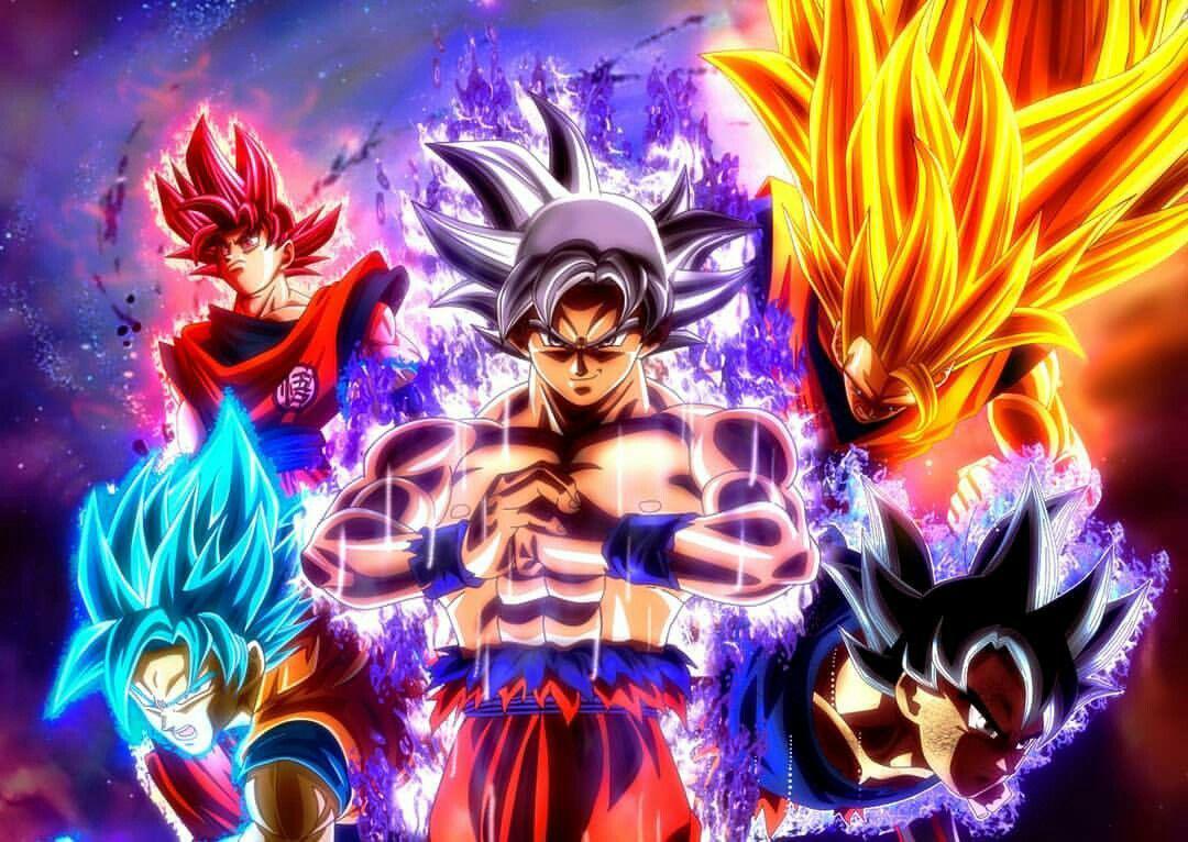 1080x766 Goku Ultra Instinct Wallpaper