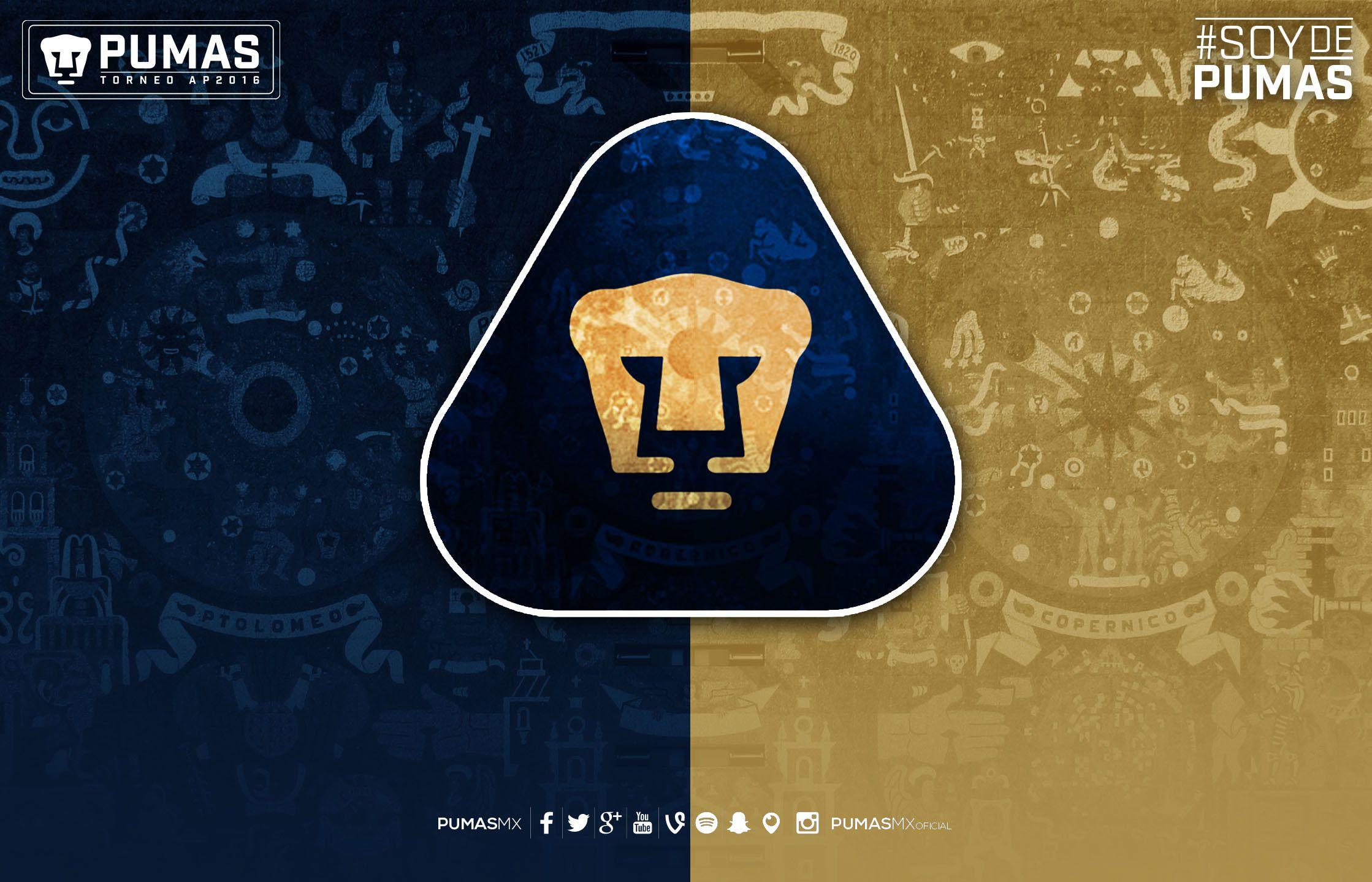 2238x1439 pumas u.n.a.m