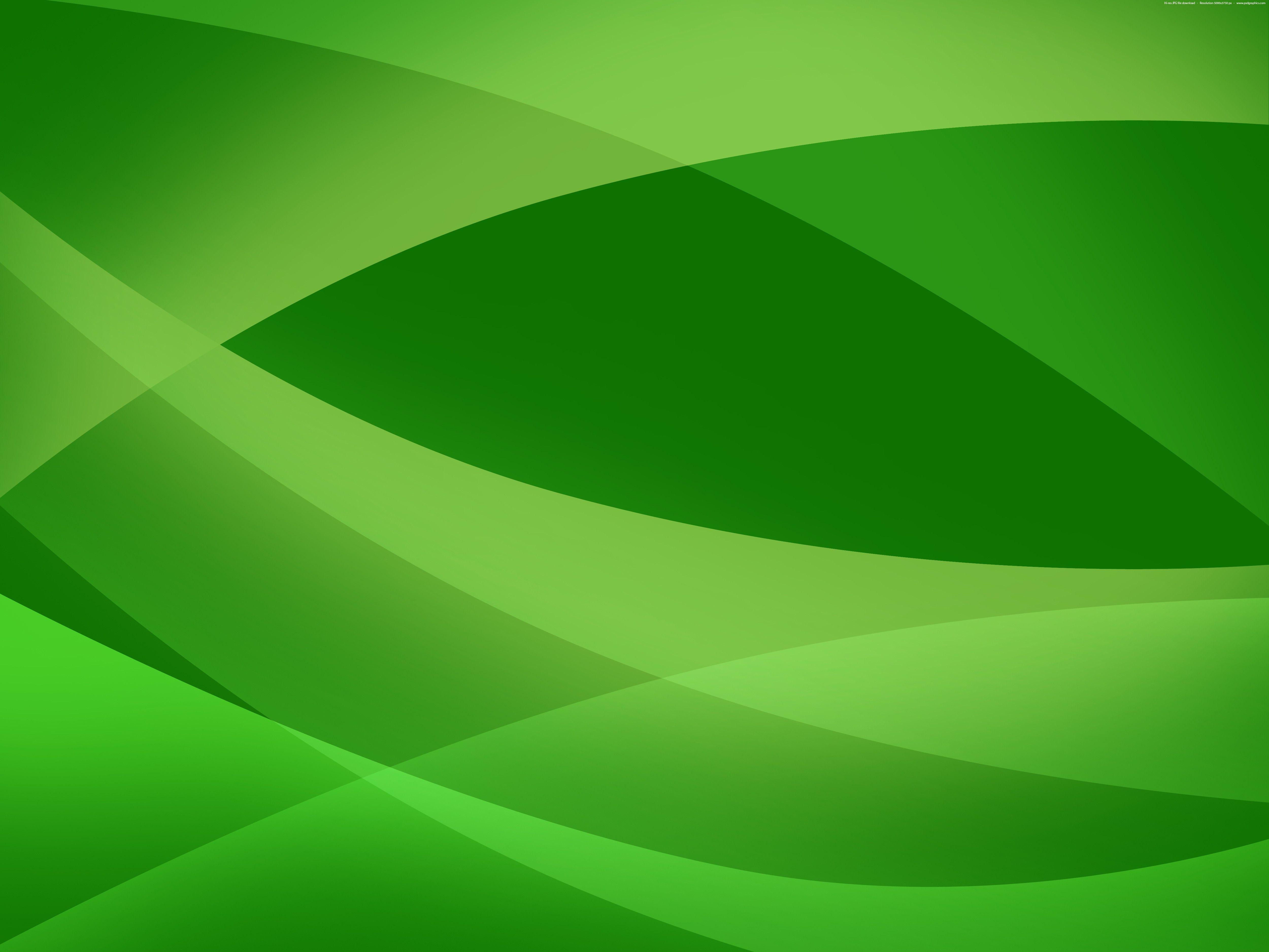 5000x3750 Green Background Wallpaper
