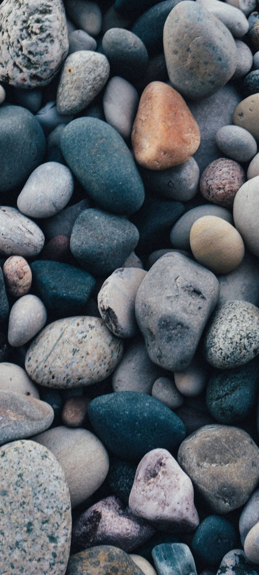 864x1920 Vivo T2 Wallpaper