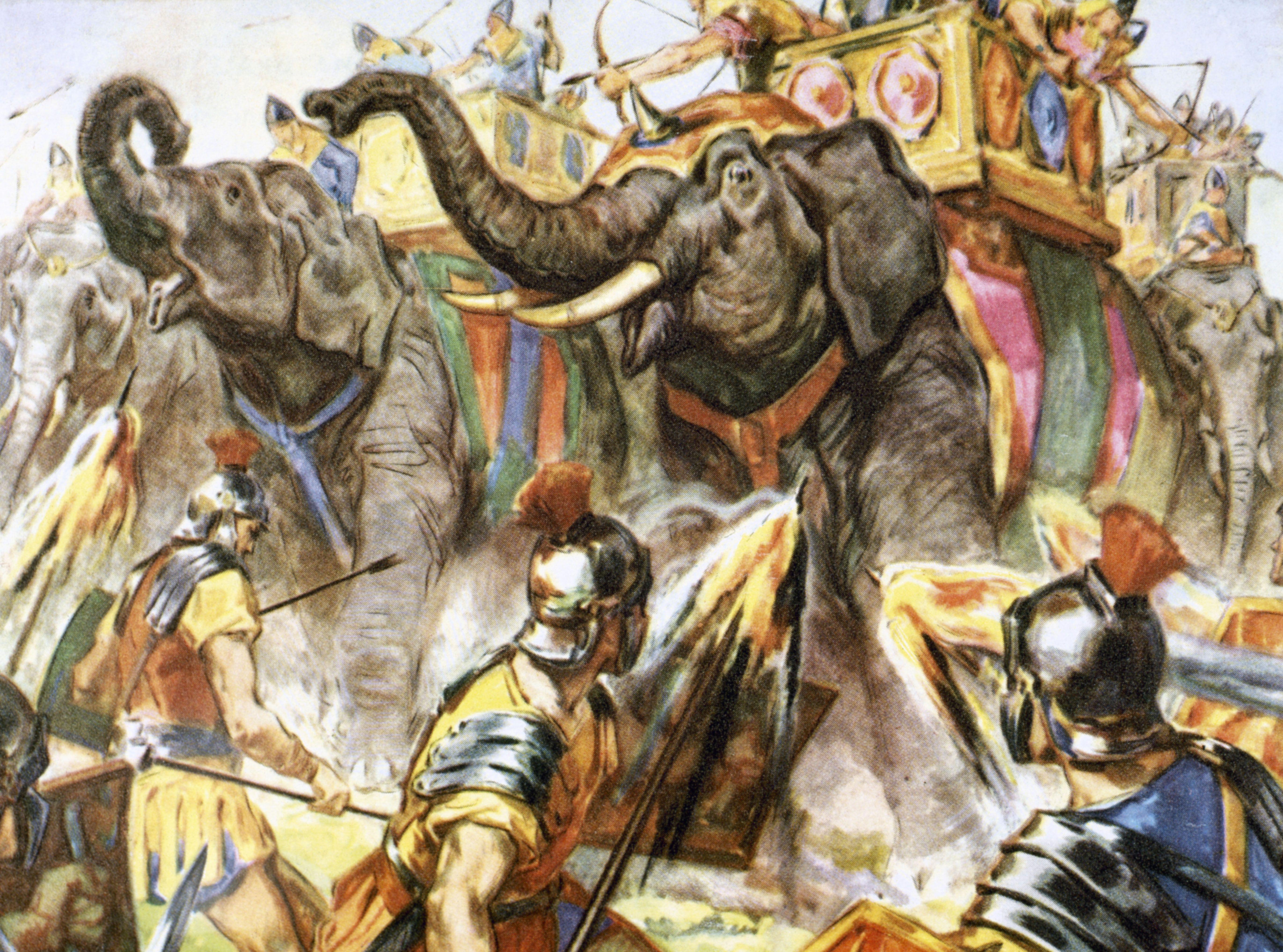 5482x4069 War Elephant ideas. war elephant, elephant, war