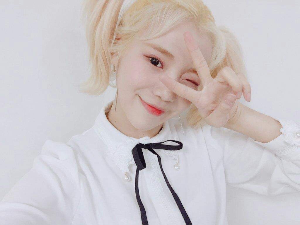 1024x768 JooE MOMOLAND Wallpaper