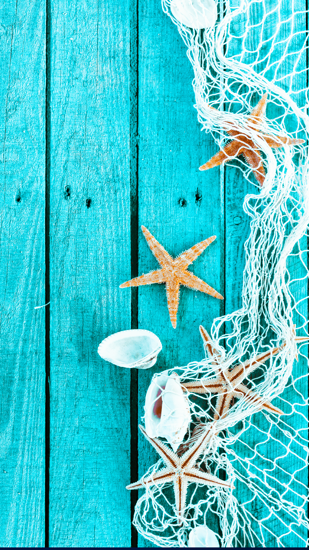1080x1920 ↑↑TAP AND GET THE FREE APP! Art Creative Sea Star Blue Wood Shell HD iPhone 6 Plus Wallpaper. Summer wallpaper, Wallpaper iphone summer, iPhone wallpaper