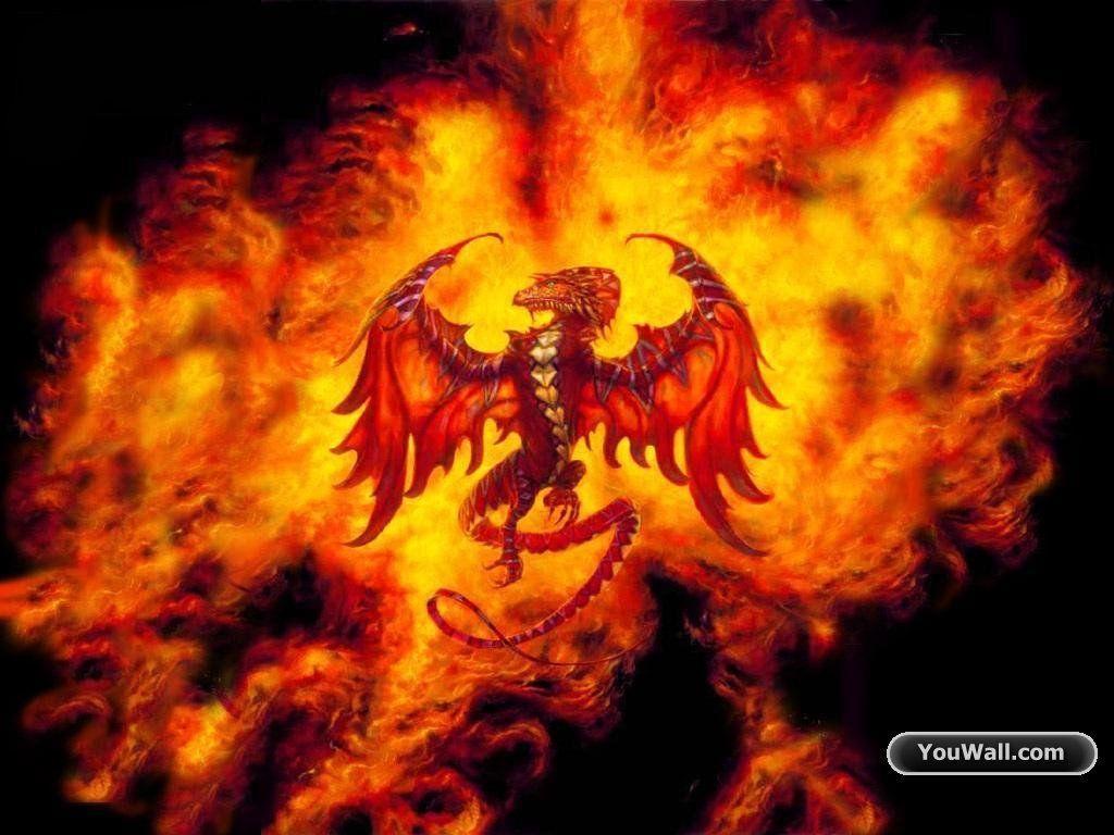 1024x768 Fire Dragon Wallpaper