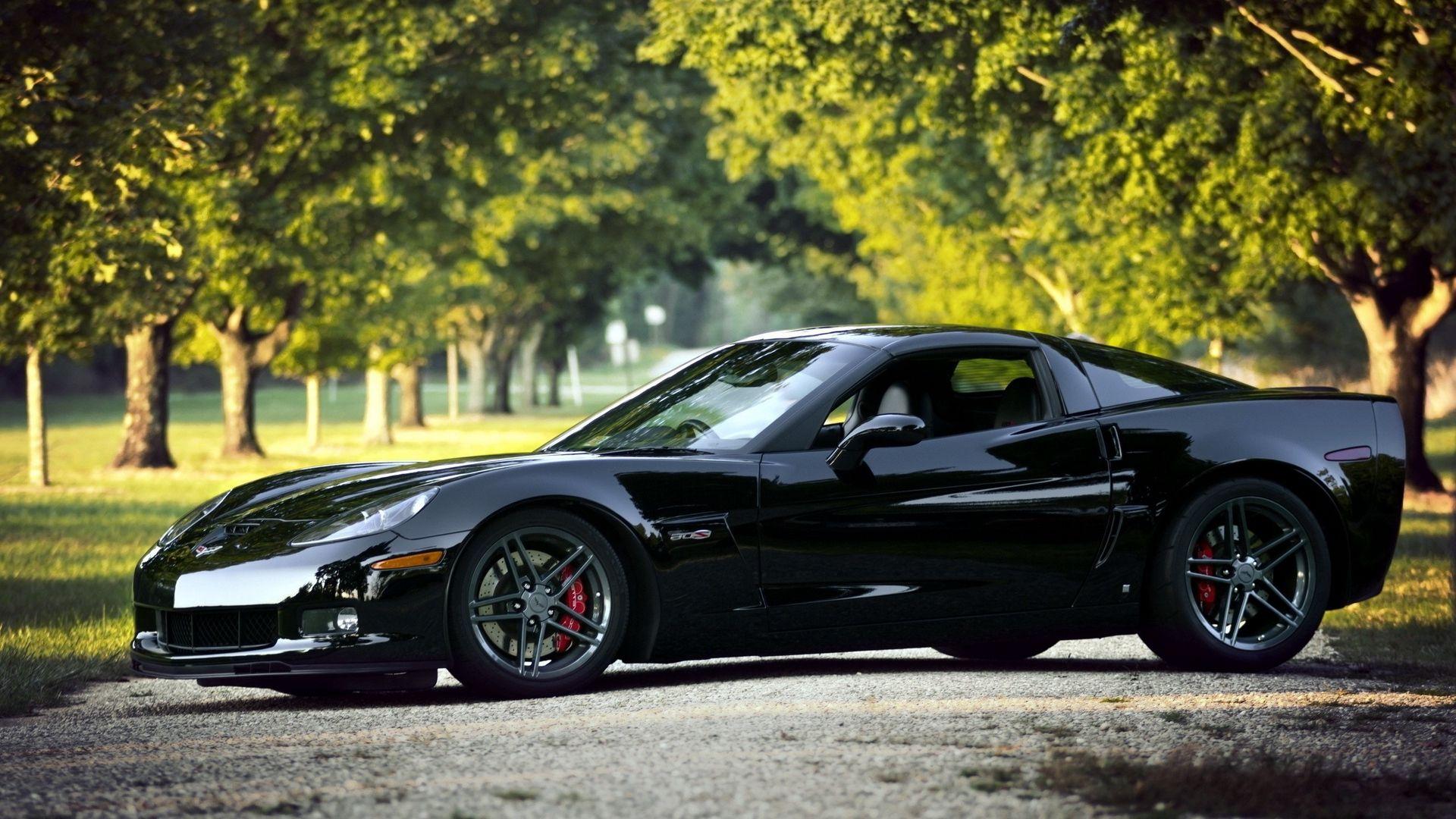 1920x1080 Wallpaper Chevrolet Corvette, Black, Nature, Cars Background With Nature