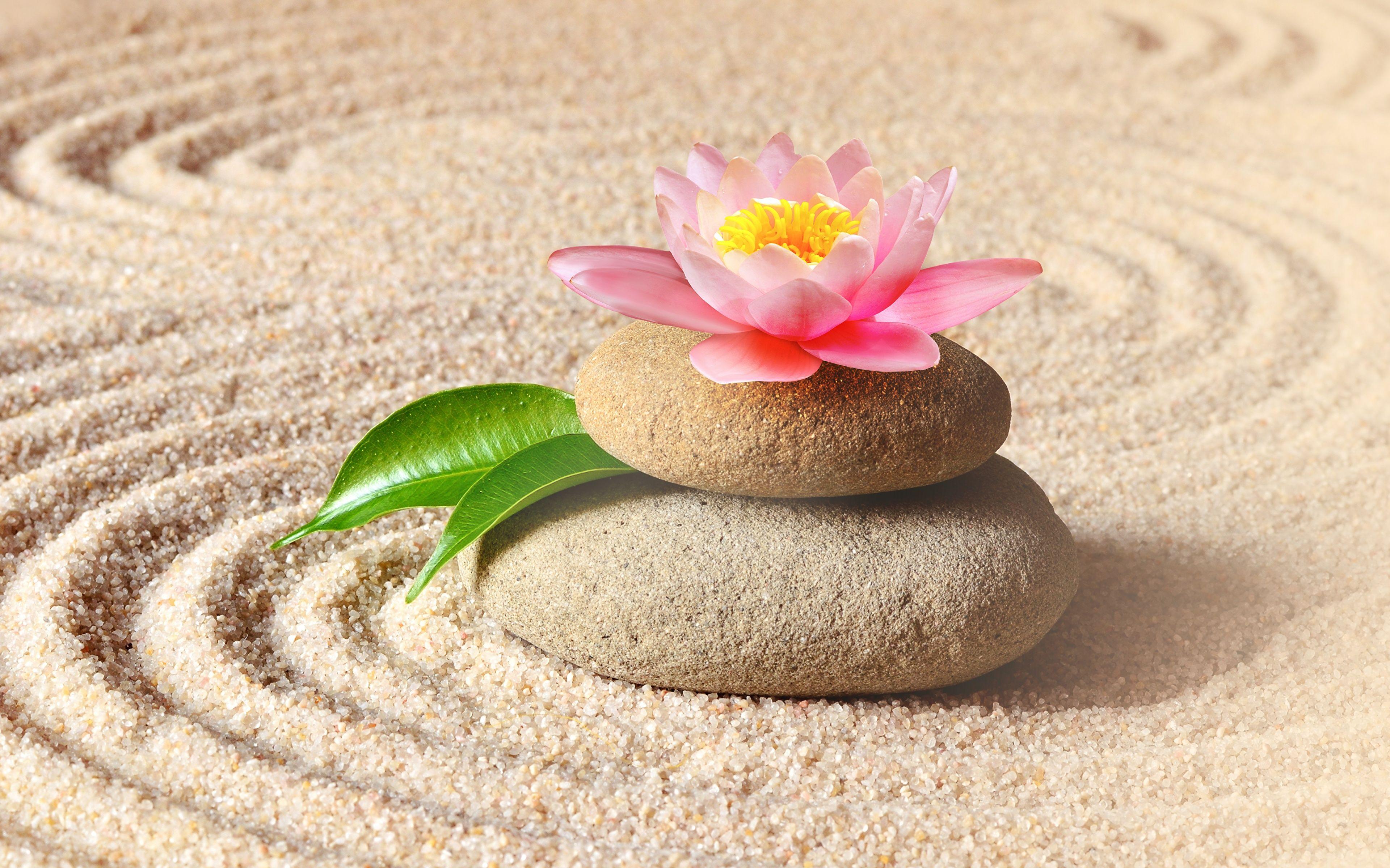 Zen Sand Wallpapers Top Free Zen Sand Backgrounds Wallpaperaccess