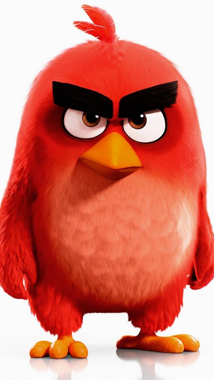 721x1280 Angry birds Wallpaper by ZEDGE™