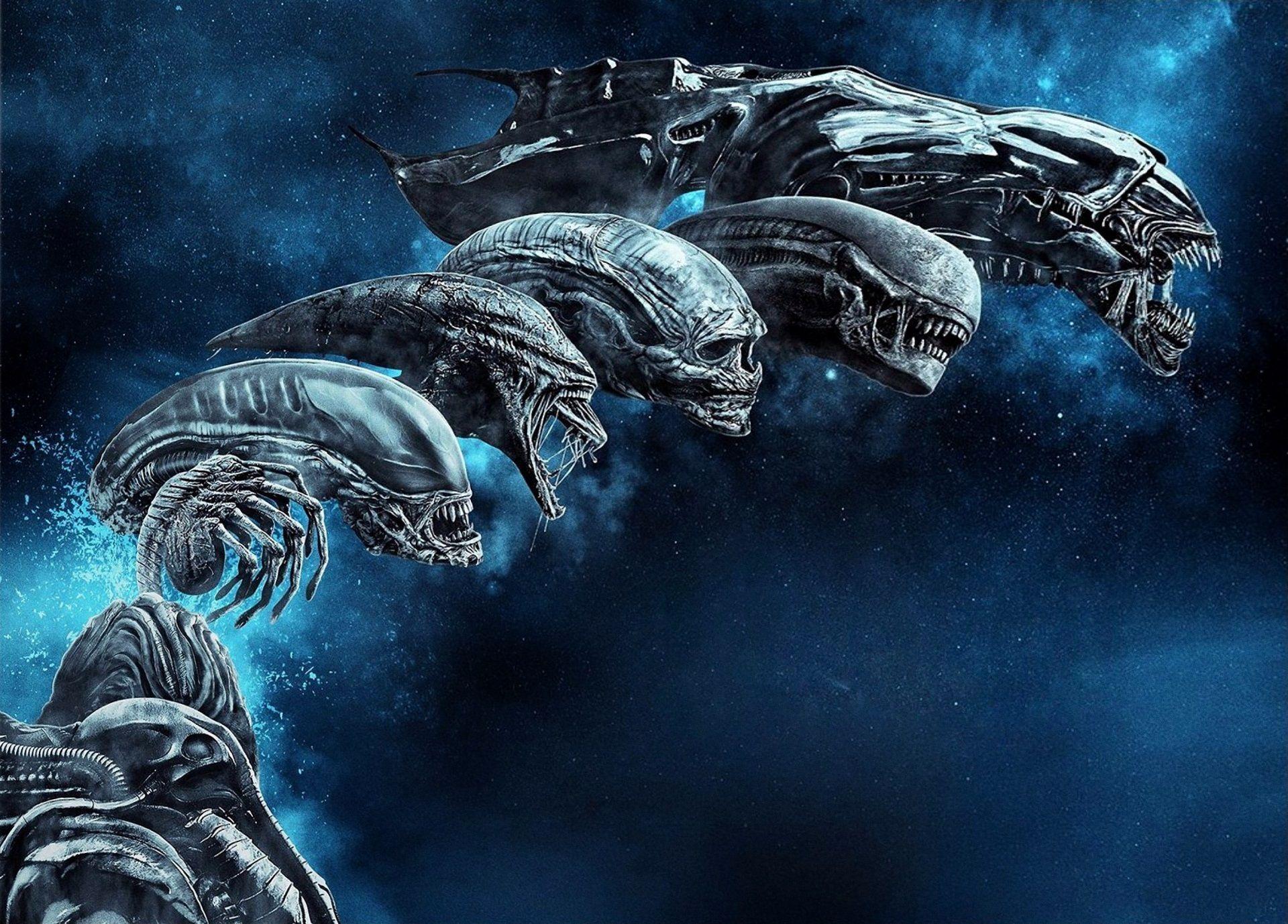 Cool Xenomorph Wallpapers - Top Free Cool Xenomorph Backgrounds 