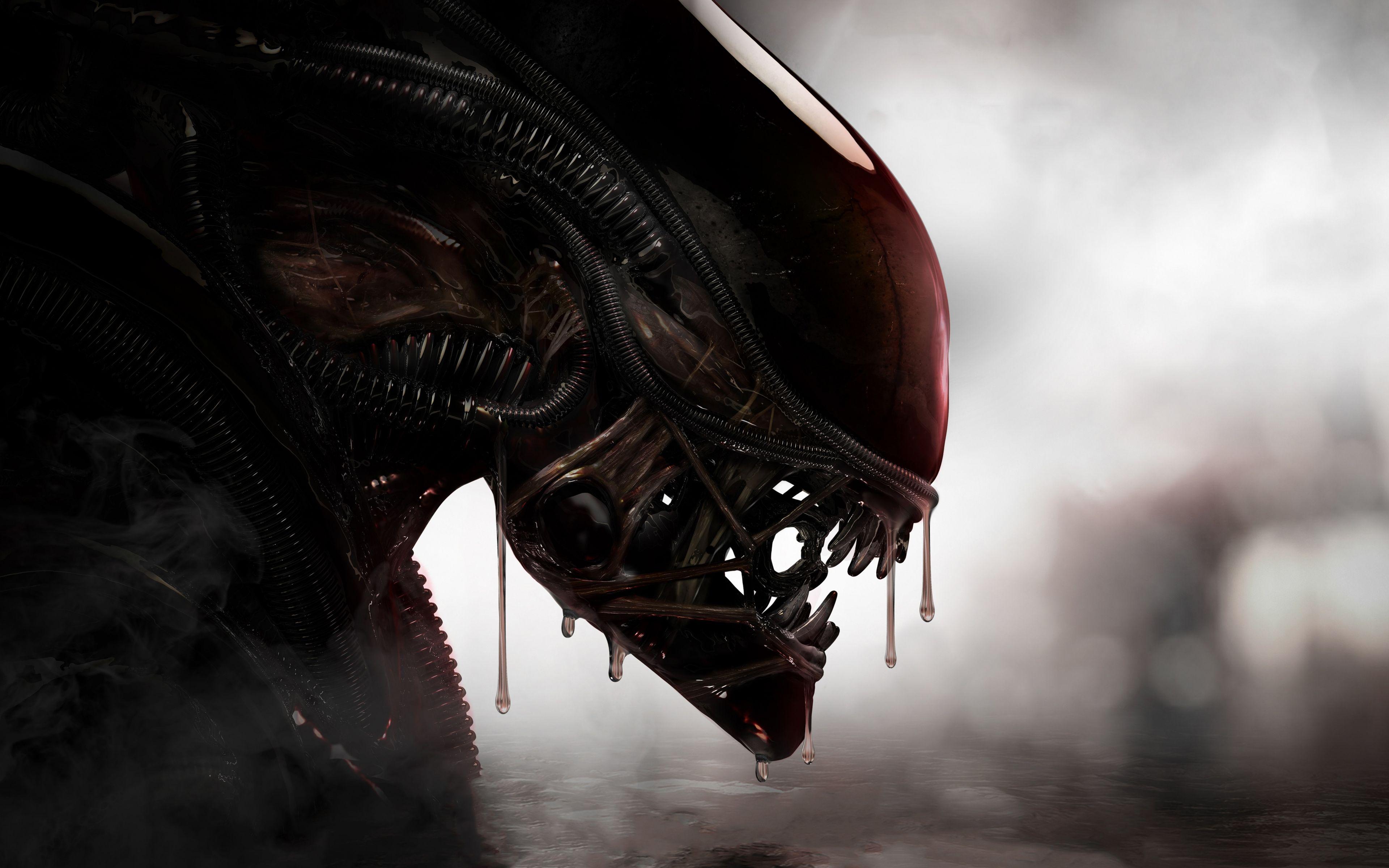 3840x2400 Download 3840x2400 wallpaper alien, predator, creature, 4k, ultra HD 16: widescreen, 3840x2400 HD image, background, 1282