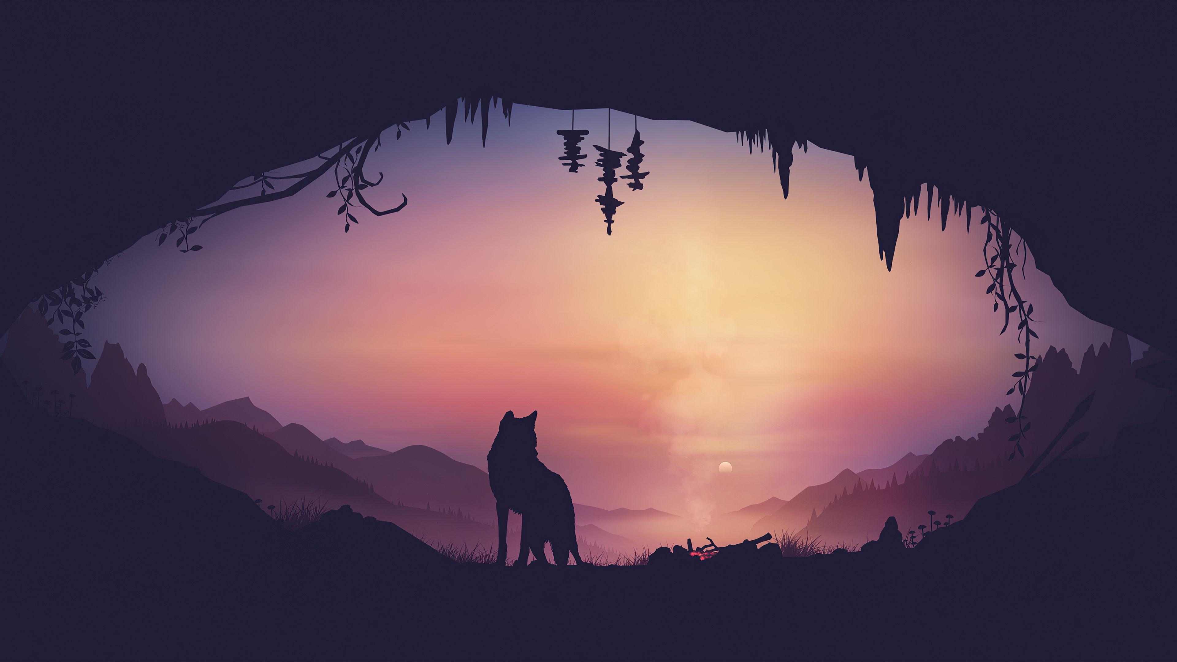 3840x2160 Wolf 4K wallpaper for your desktop or mobile screen free and easy to download