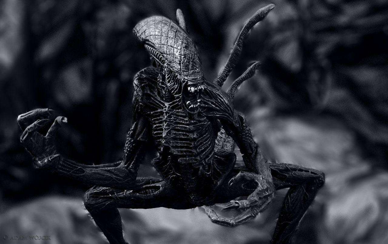 1280x804 Alien wallpaper. Alien