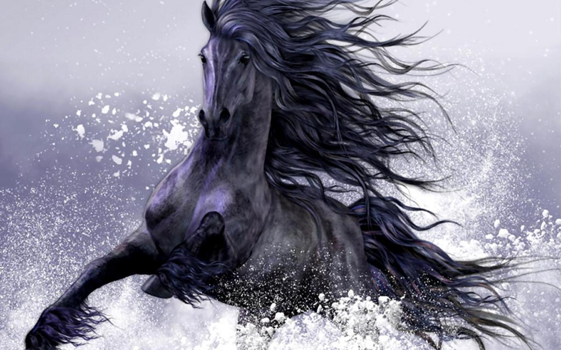 1920x1200 Snow Horse Wallpaper. Snow Wallpaper, Snow White Wallpaper and Snow Desktop Wallpaper