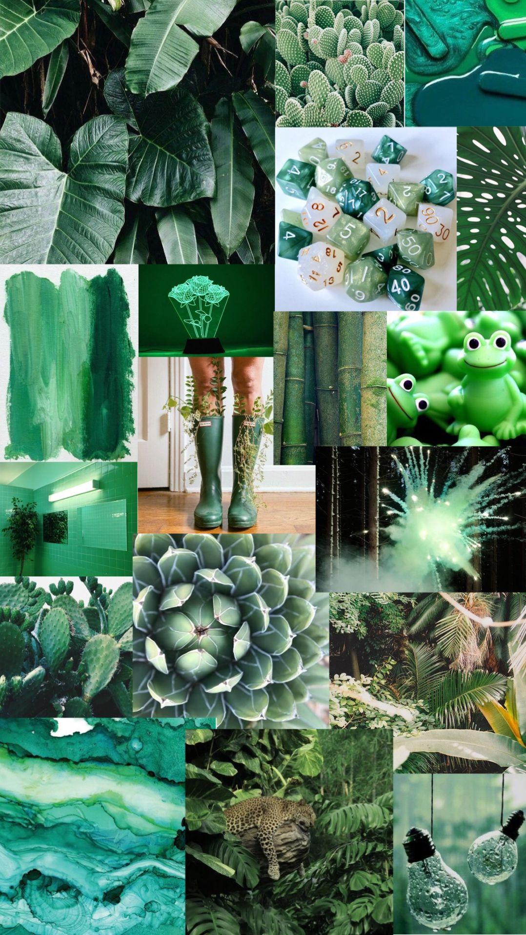 1078x1916 Green Aesthetic Collage Wallpaper
