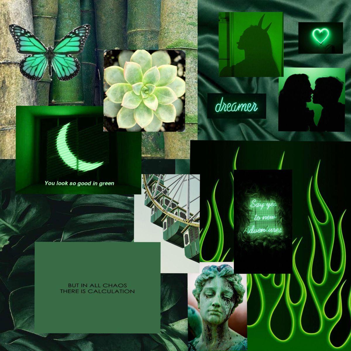 Neon Green Aesthetic Photo Wall Collage Kit -   Green aesthetic, Dark green  aesthetic, Gucci wallpaper iphone