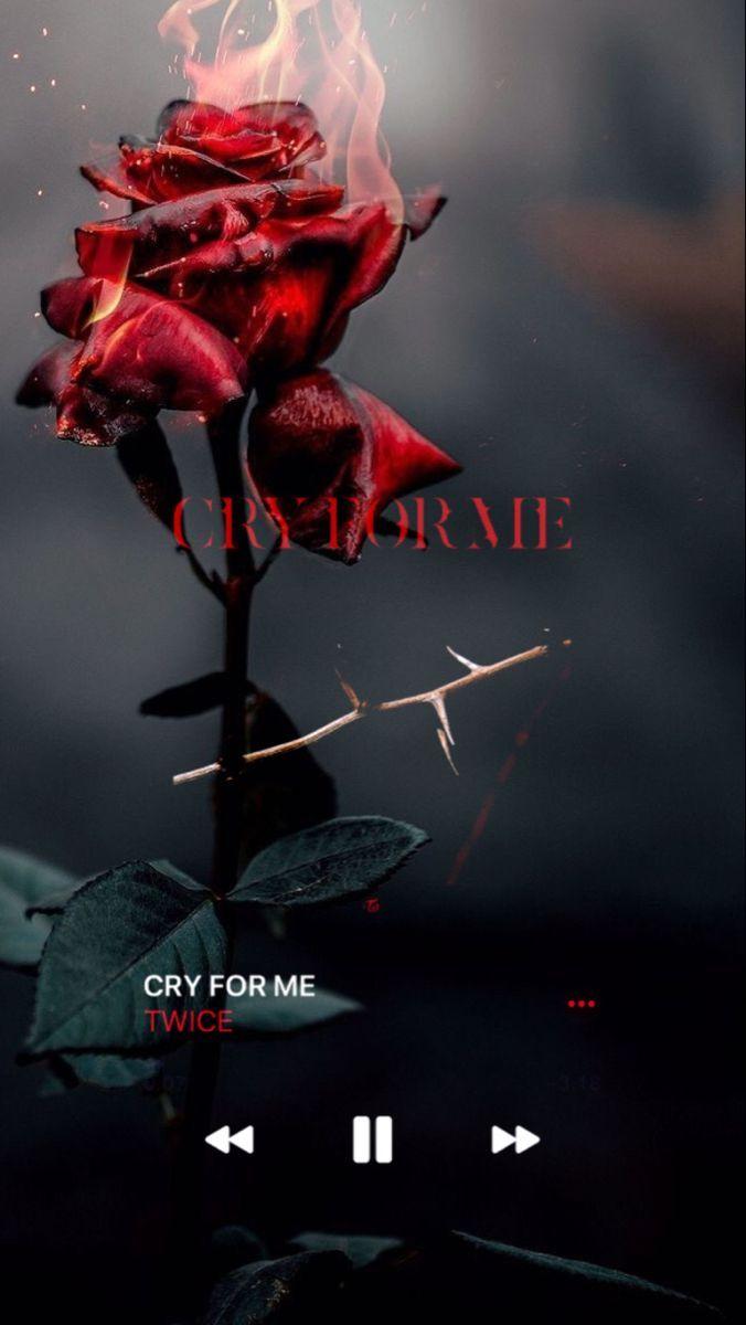 Twice Cry For Me Wallpapers Top Free Twice Cry For Me Backgrounds Wallpaperaccess