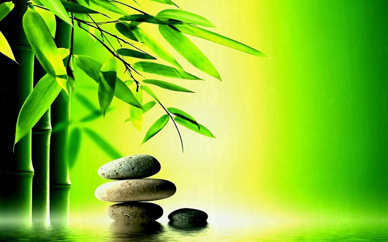1600x1000 X Zen Garden Theme Picture P HD Quality Free Download Desktop