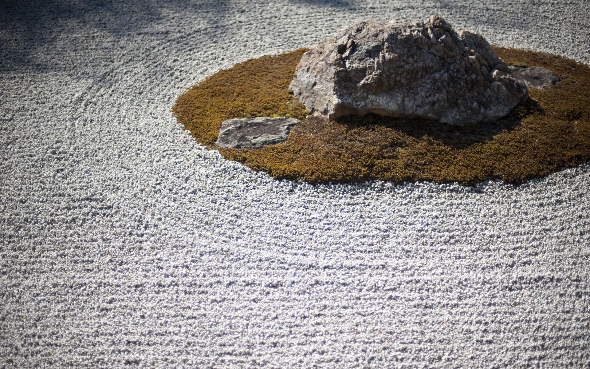 1920x1200 dry garden Desktop Wallpaper. iskin.co.uk