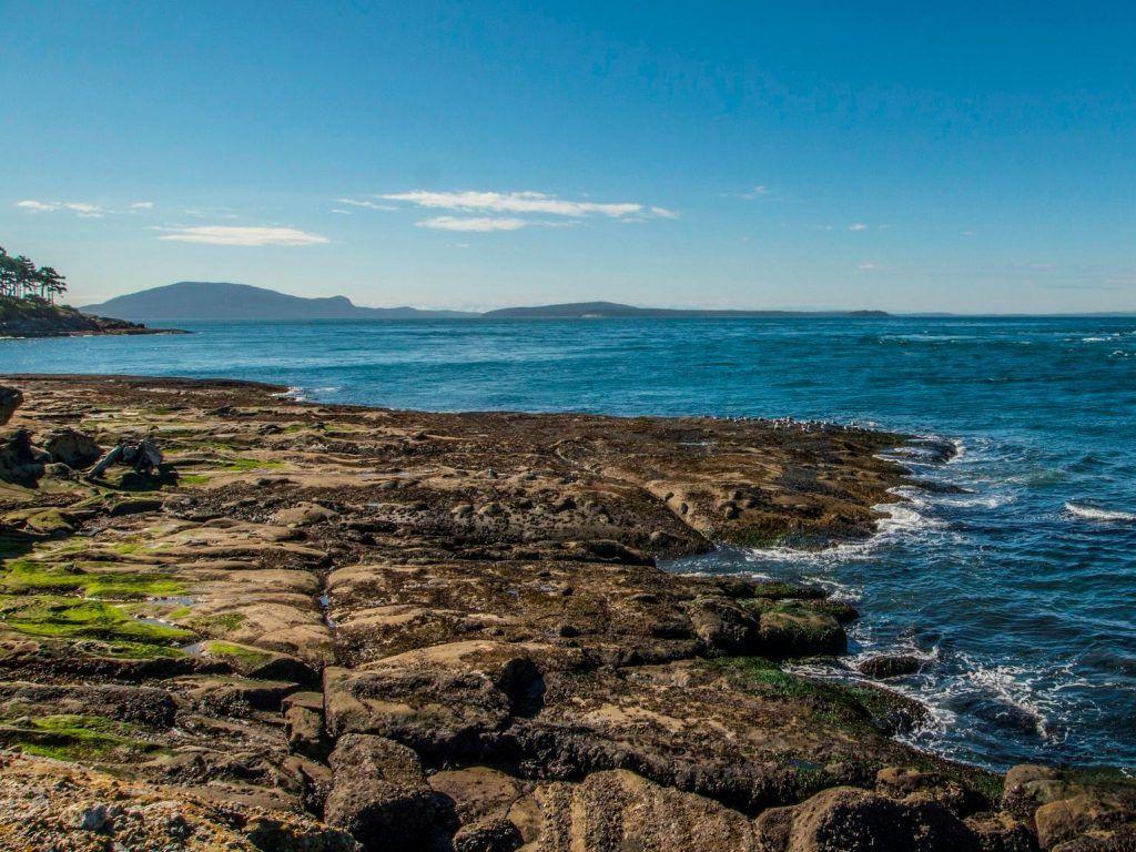 1024x768 Understanding Climate Change Impacts on the Nutrition and Cultural Benefits of the Makah Tribe's Traditional Seafood Species