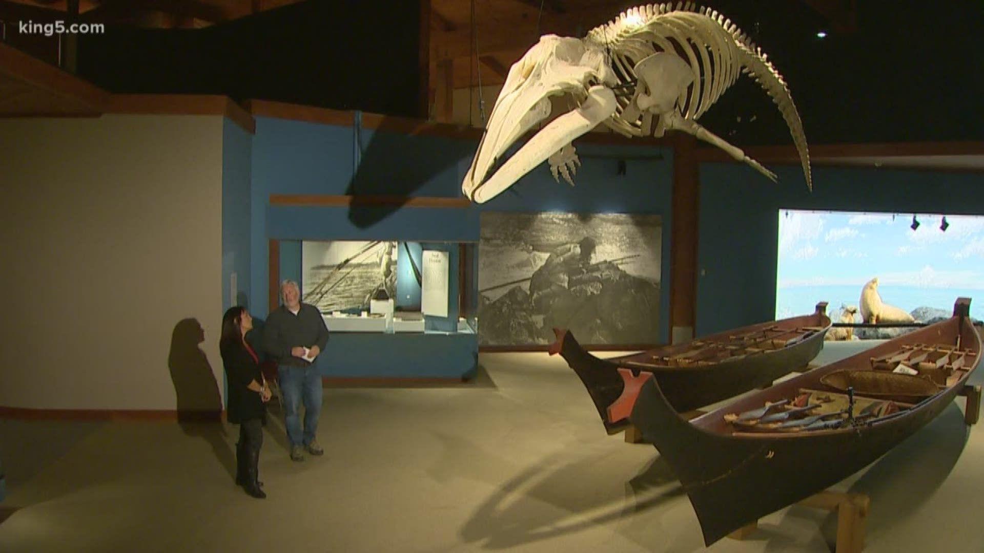1920x1080 After 20 years, the Makah Tribe's battle to hunt whales continues