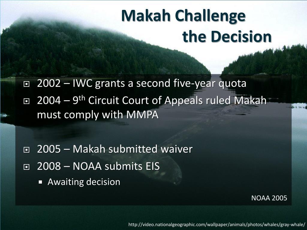 1024x768 PPT Whaling: stop the hunt PowerPoint Presentation, free download