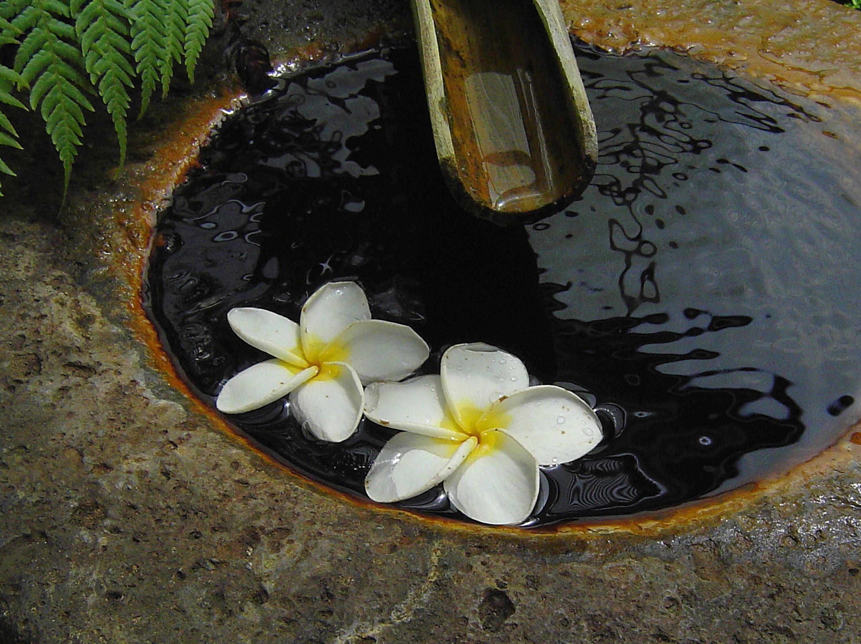 3000x2245 Zen Garden Desktop Wallpaper Zen garden hawaii desktop. Japanese