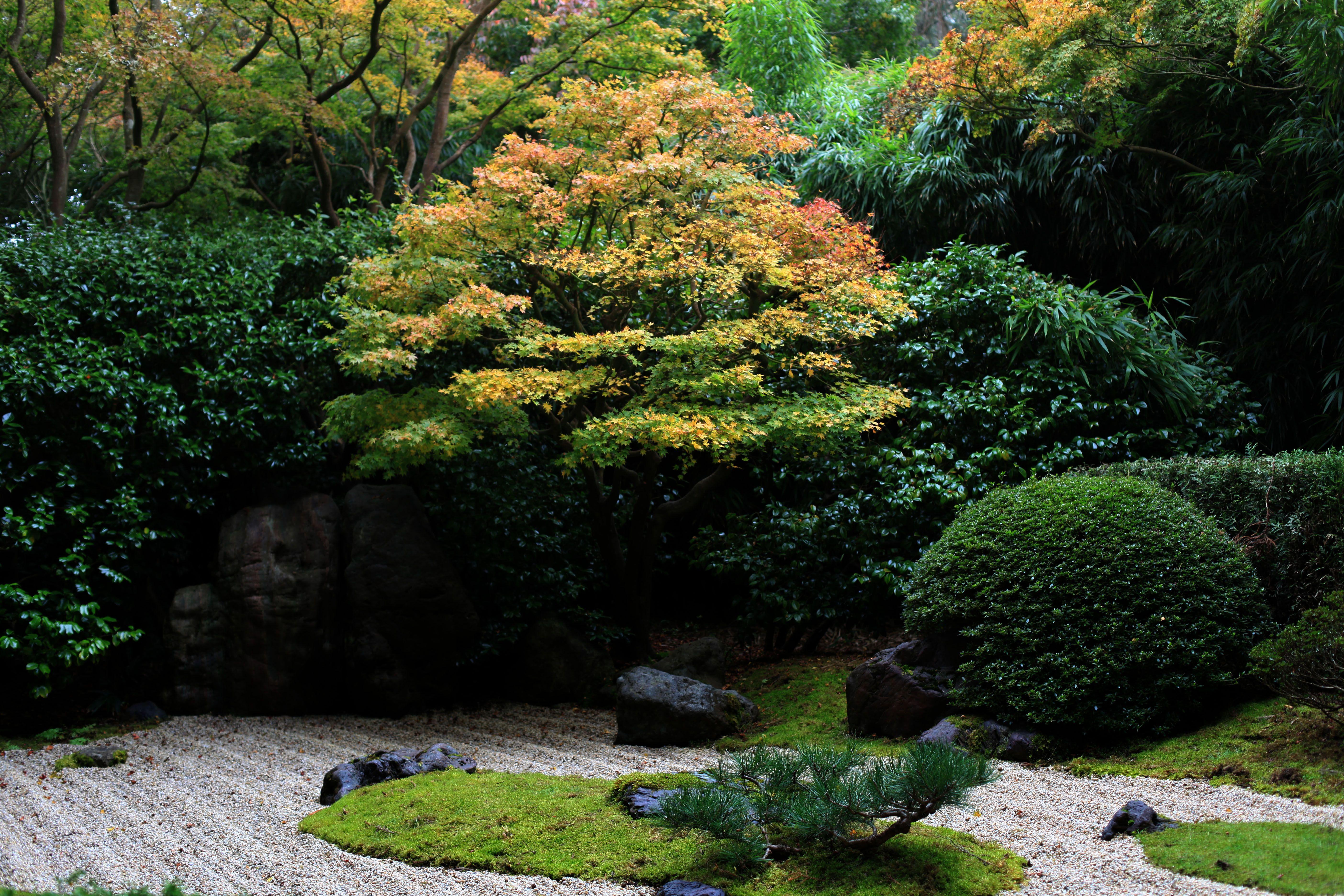 Забронировать столик в японском саду. Сады камней Япония сады. Jardin Zen парк. Сад камней в Японии. Японский сад на столе.