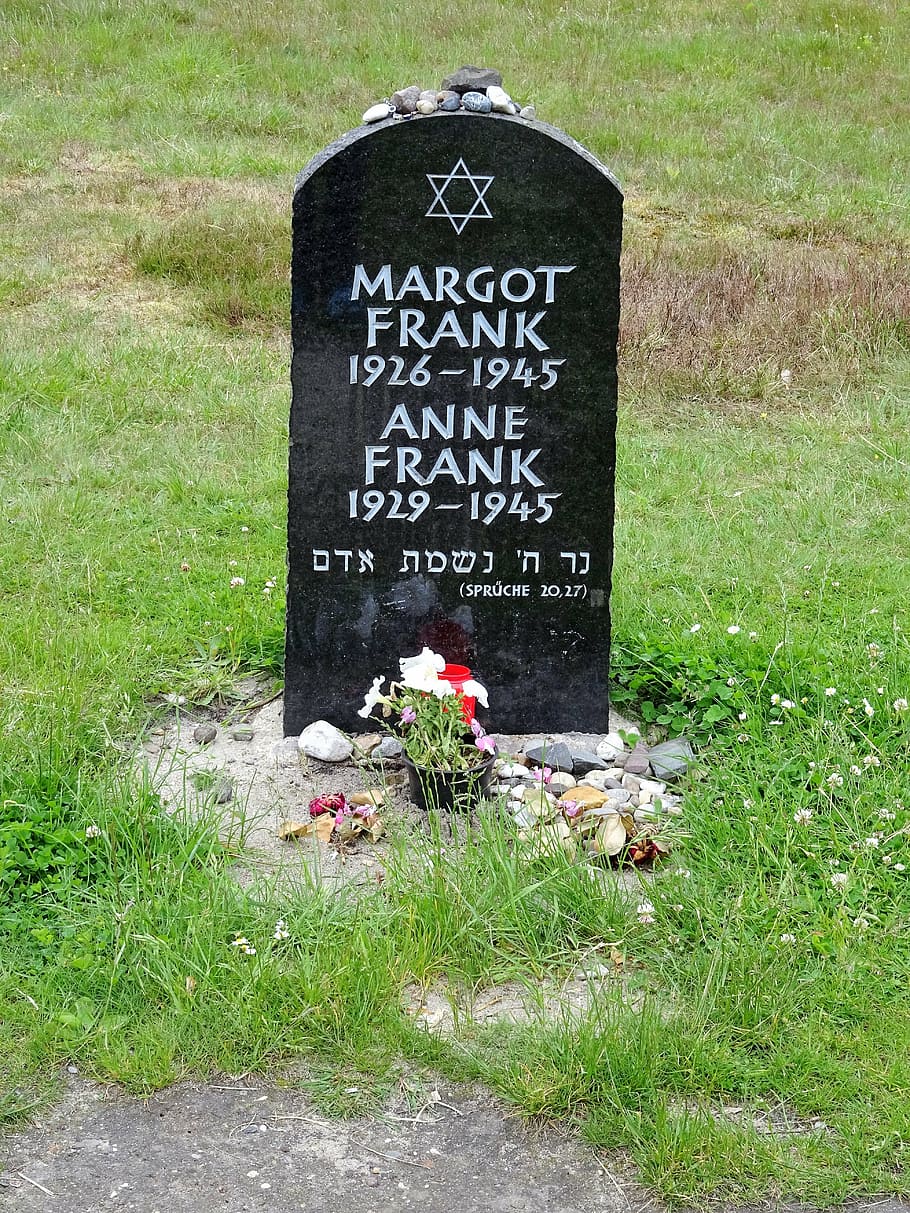 910x1213 Anne Frank Wallpaper