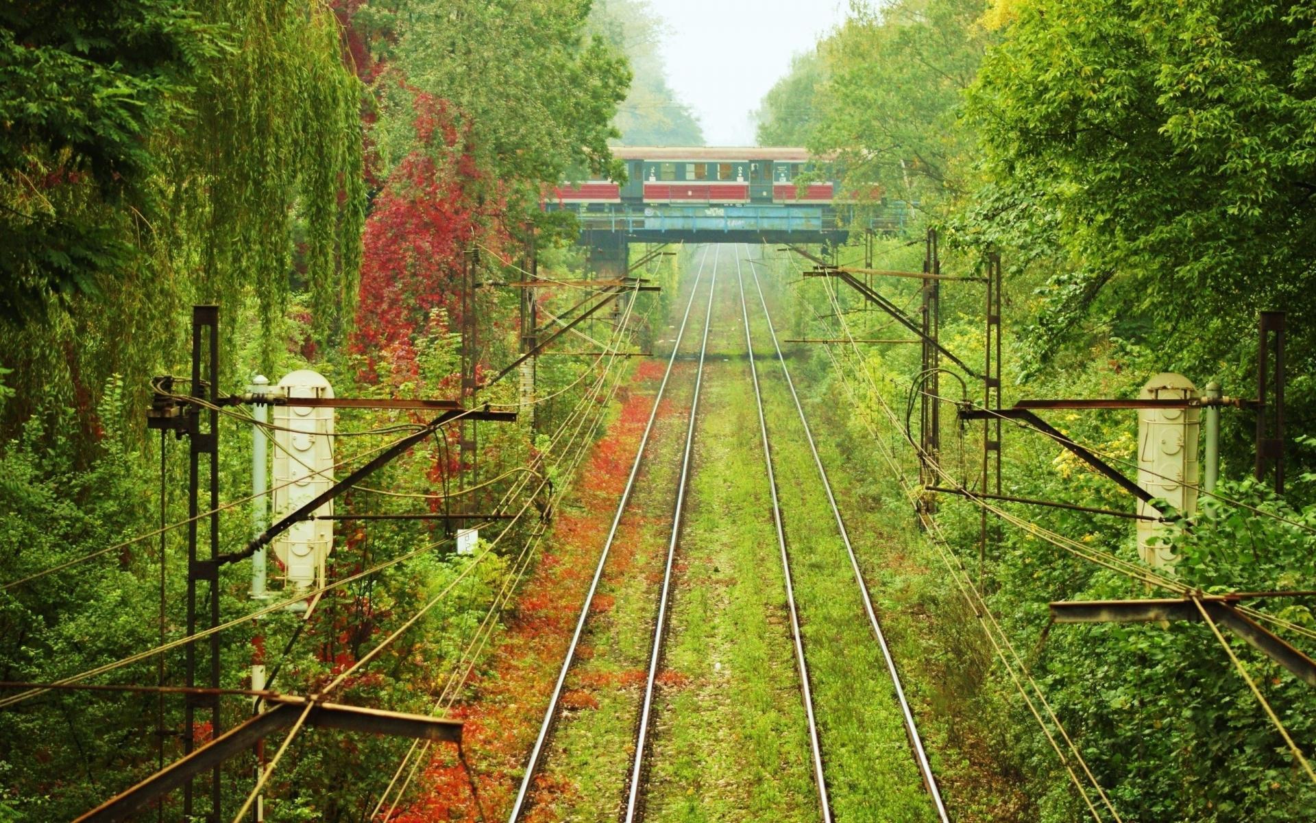 1920x1200 Landscapes nature tram poland wires vegetation wallpaper