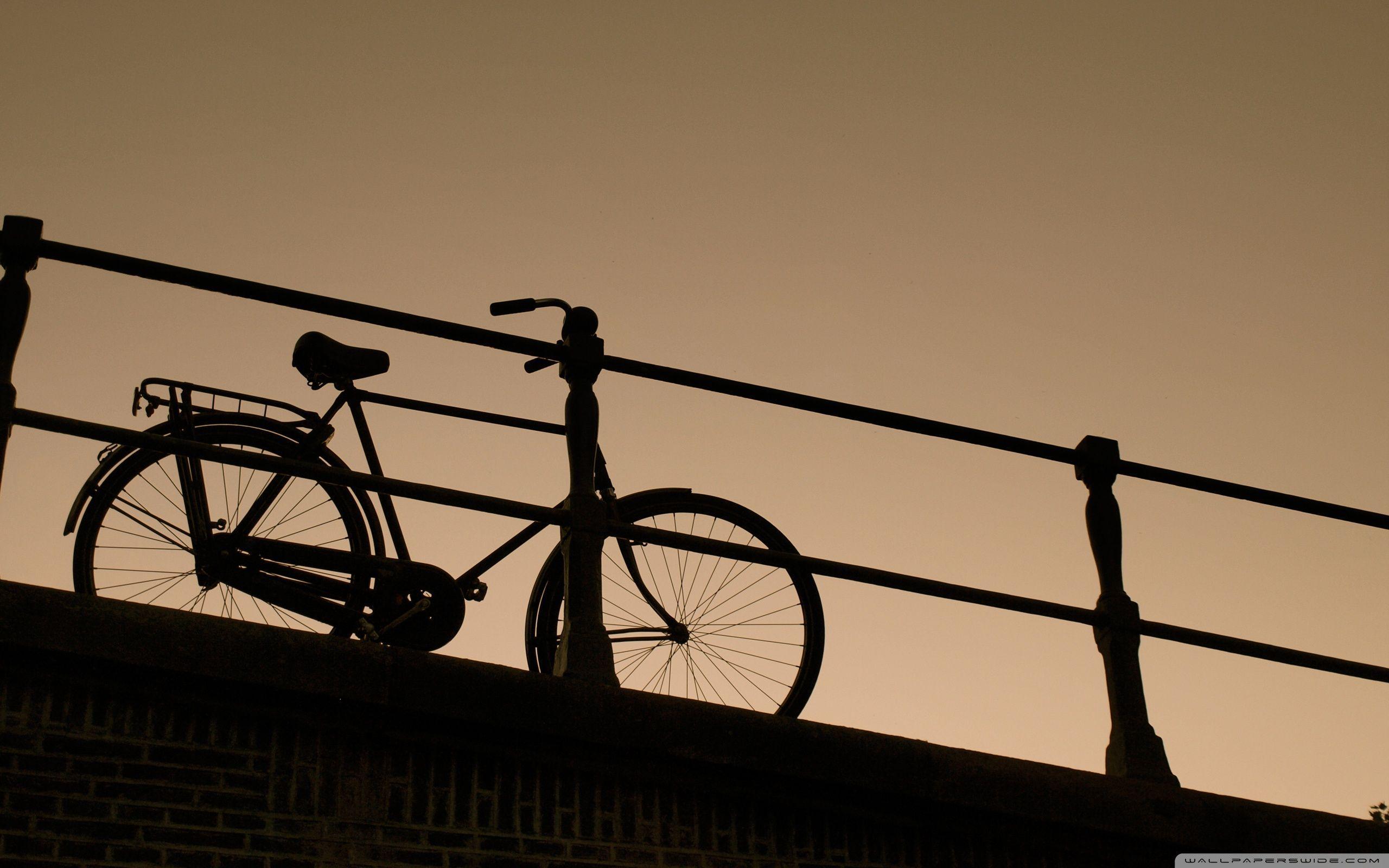 2560x1600 Bicicleta Wallpaper