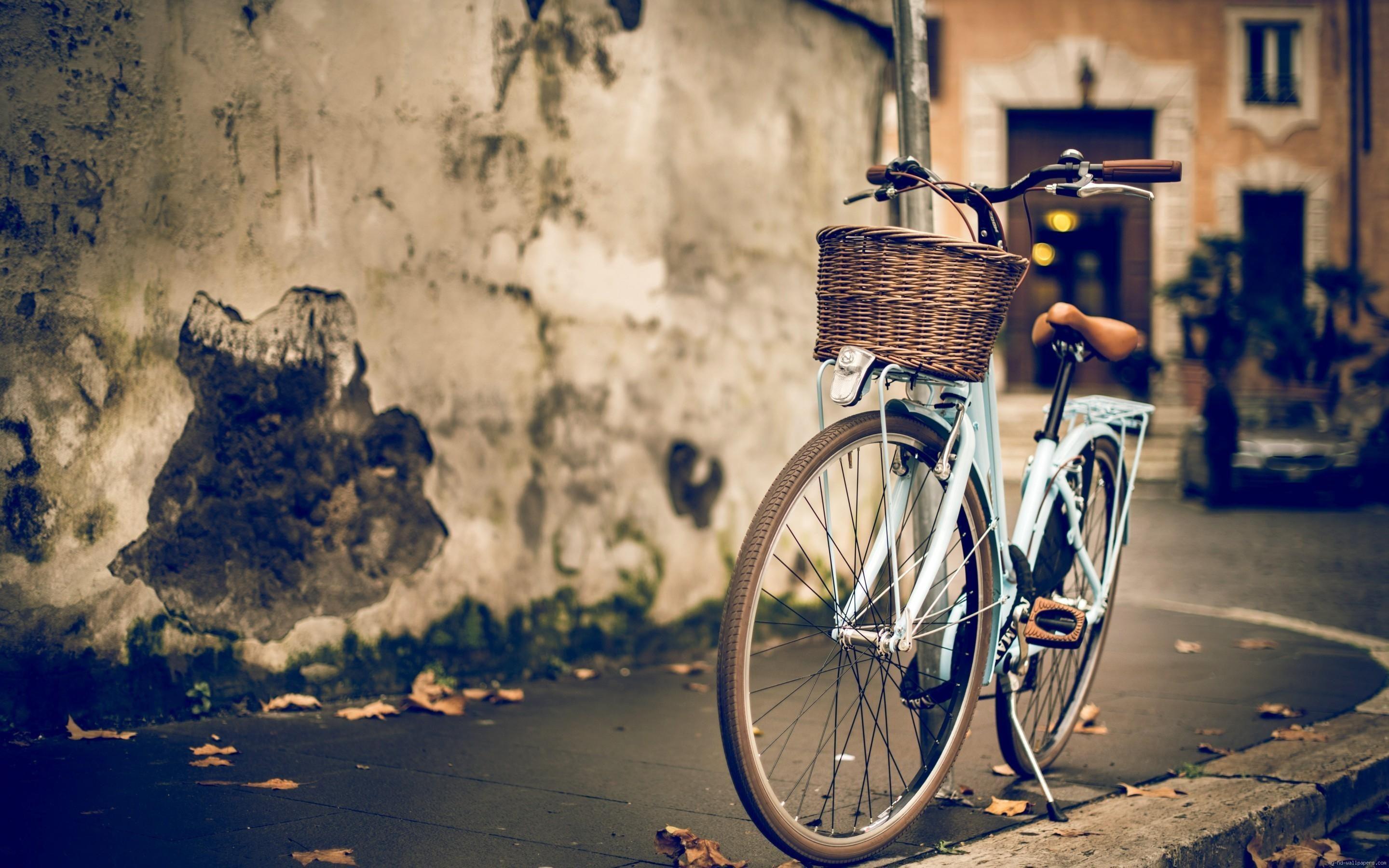 2880x1800 Vintage bicycle. Fotos de bicicletas, Fondos de pantalla calaveras, Fondos de pantalla vintage