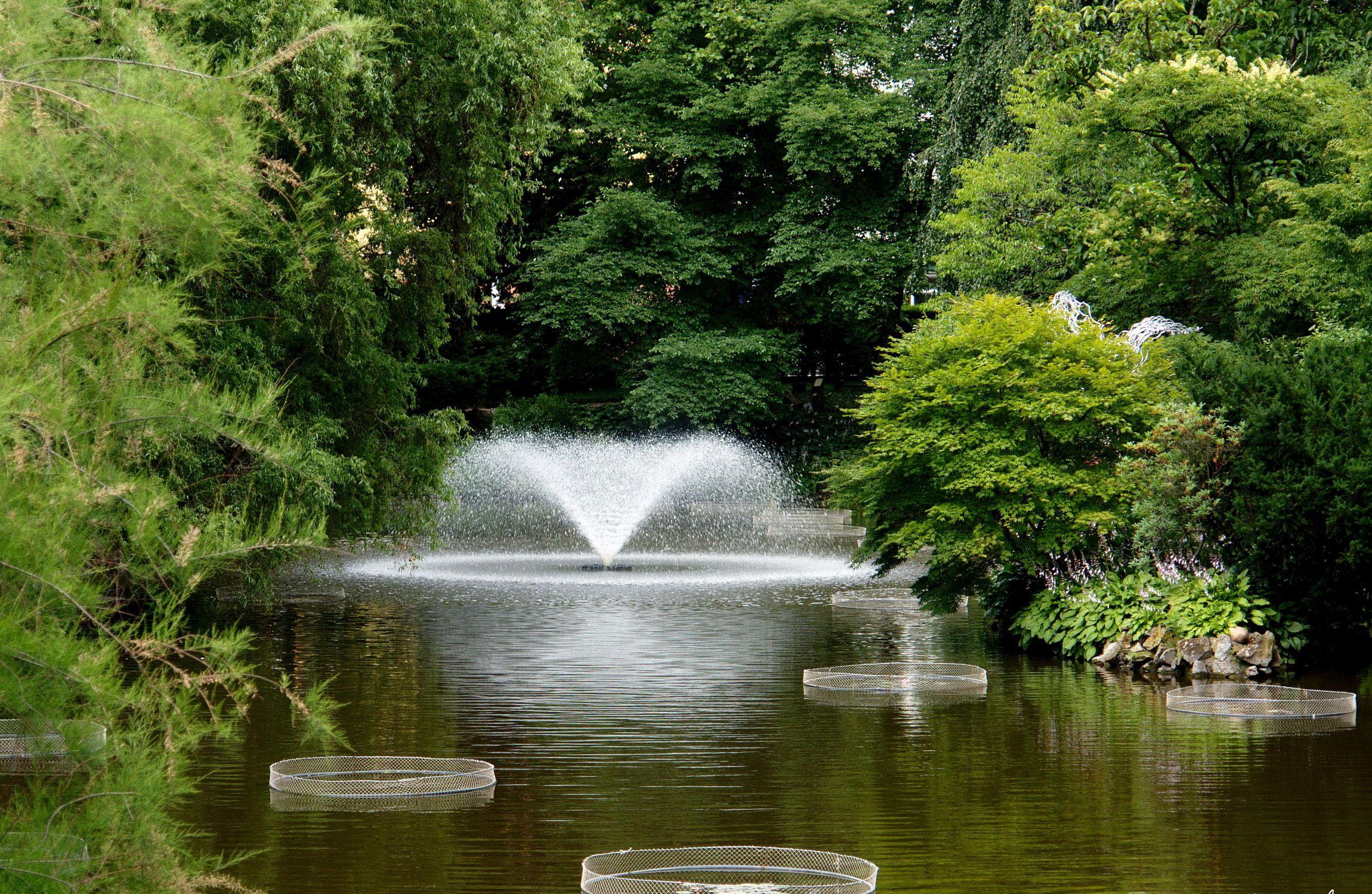 2300x1500 Wroclaw Poland Botanical Garden Nature Parks 2300x1500