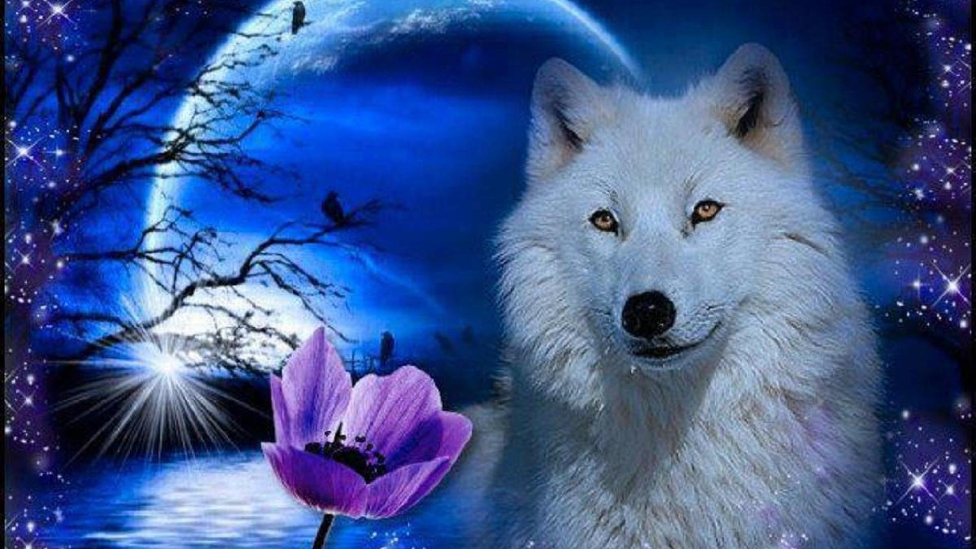 1920x1080 Wolf Wallpaper HD free download