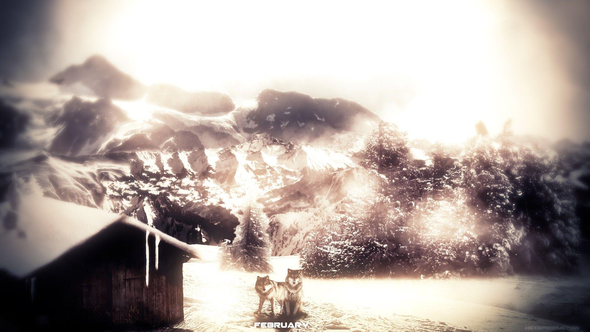 1920x1080 Winter: Nature Winter Hexs February Wolf Wallpaper For Windows 7