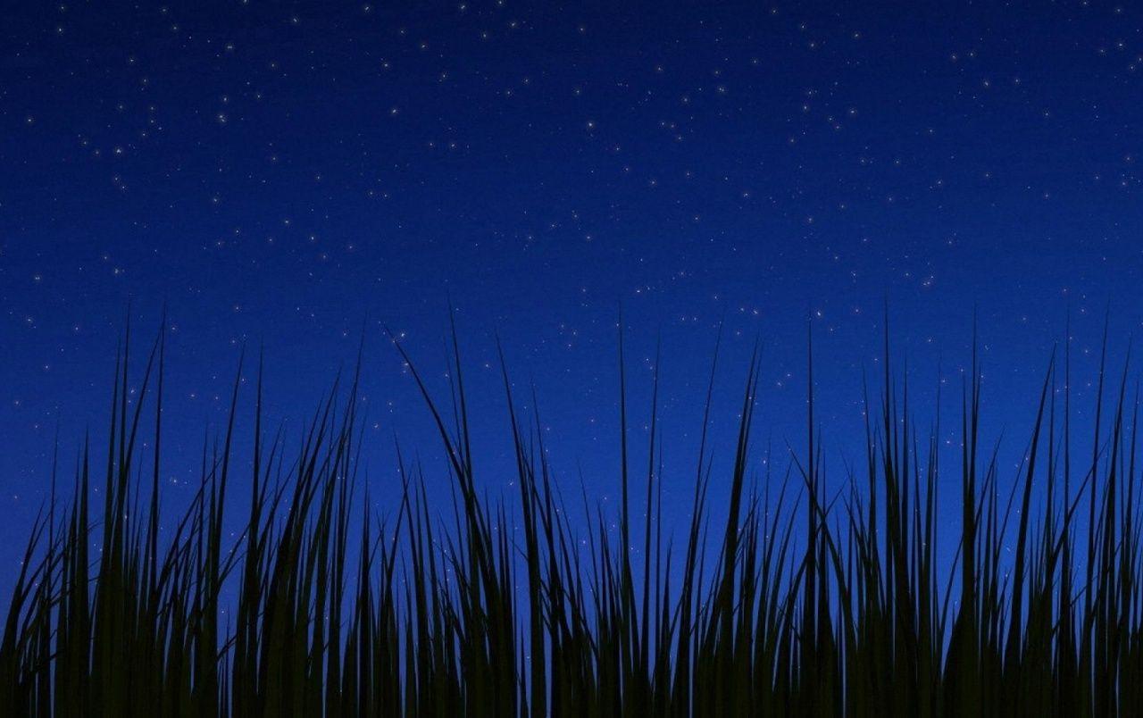 1280x804 Android 3.0 night wallpaper wallpaper. Android 3.0 night wallpaper