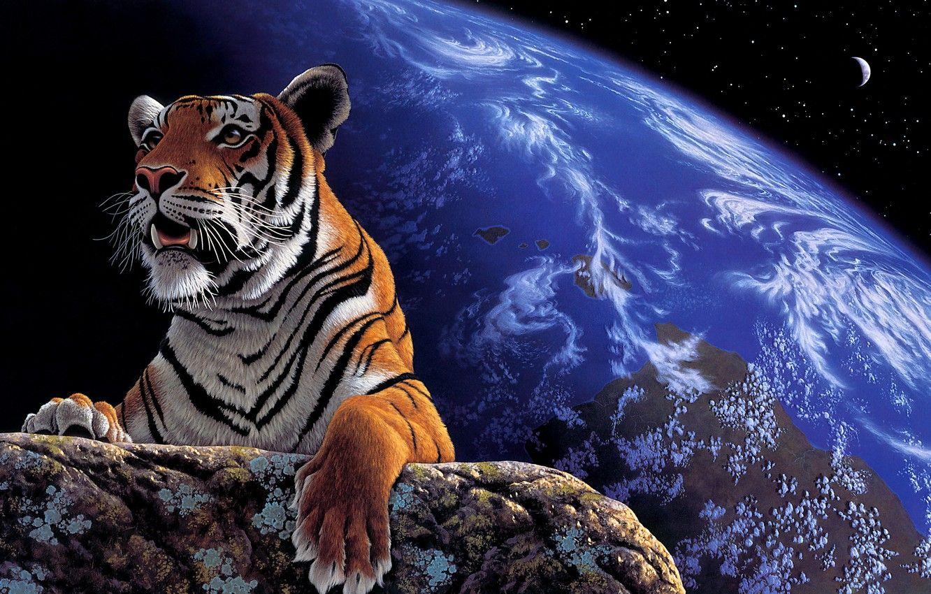 1332x850 Wallpaper look, face, space, stars, night, tiger, the dark background, stone, figure, graphics, planet, portrait, picture, paws, art, Earth image for desktop, section живопись