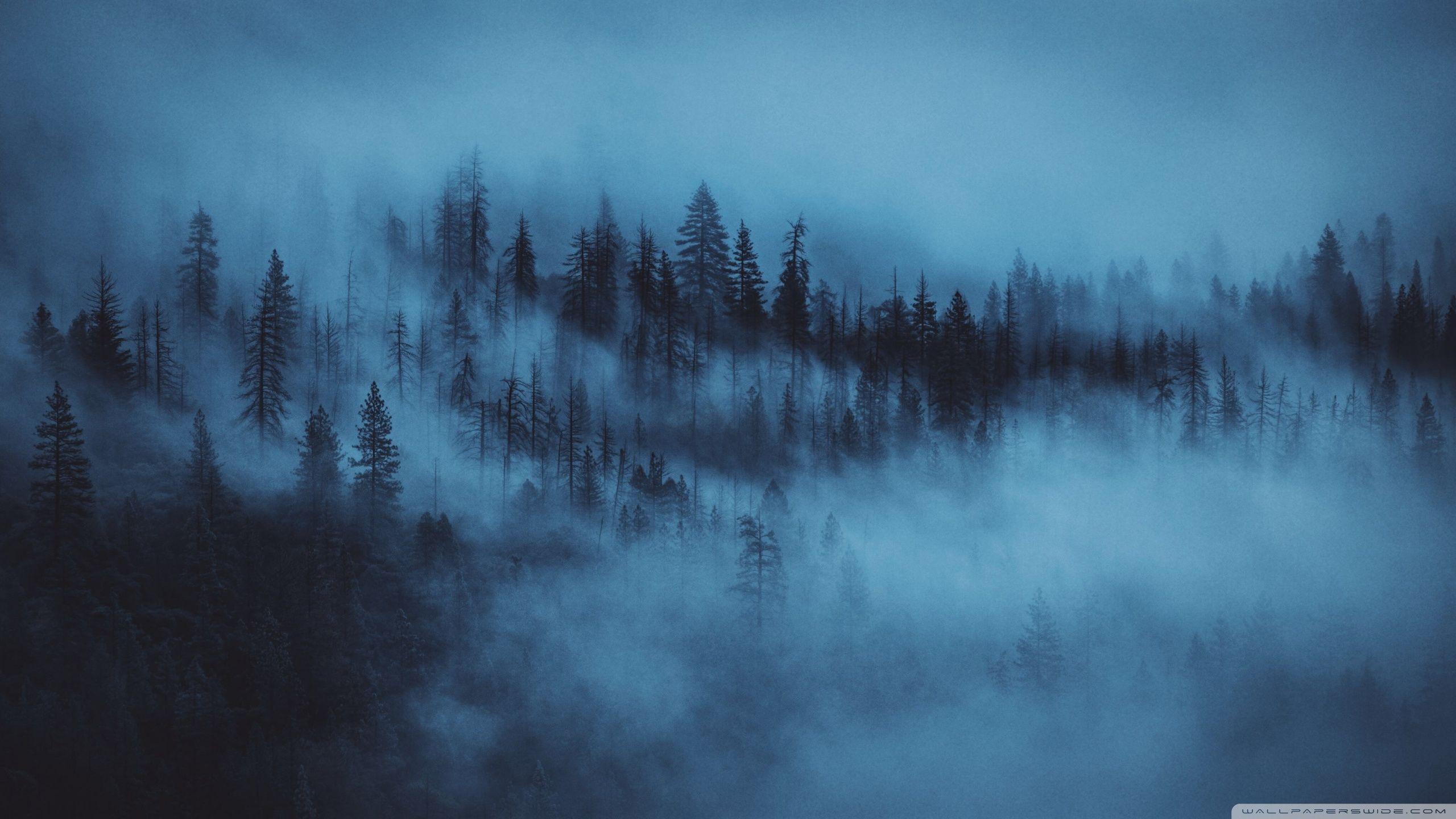 2560x1440 Blue Aesthetic Desktop Wallpaper