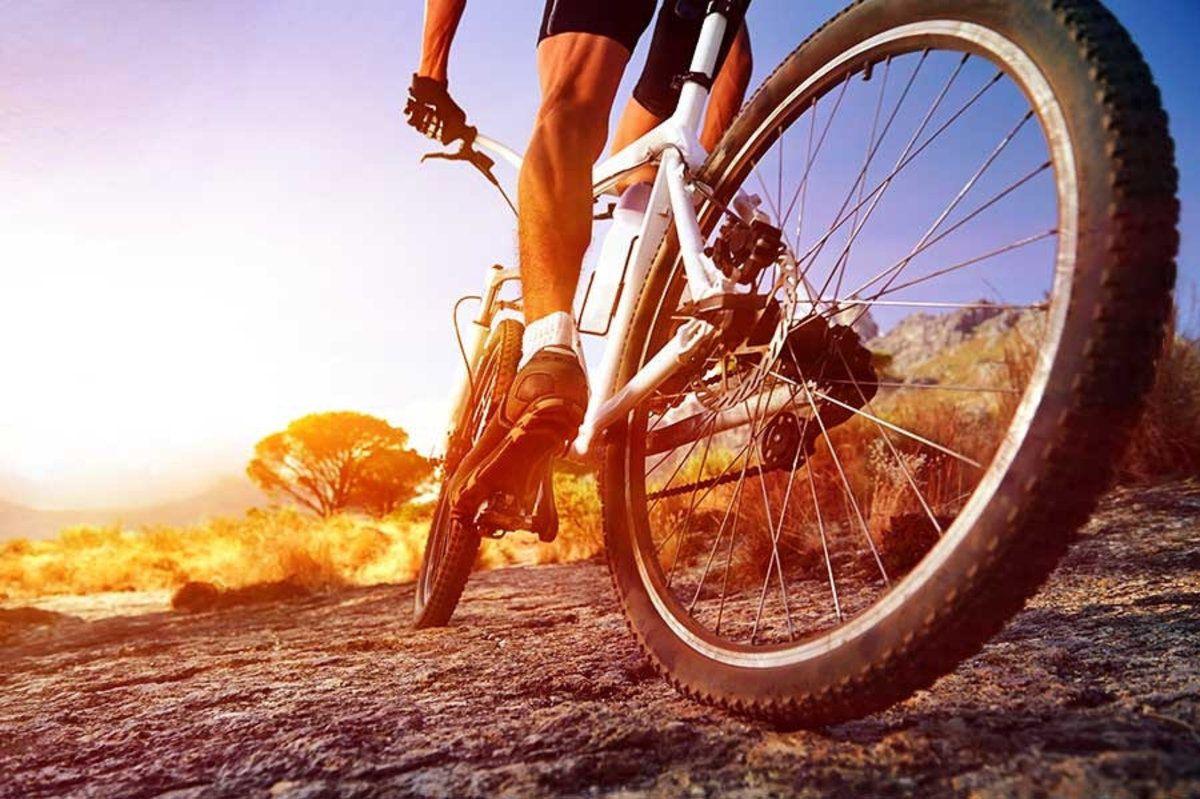 1200x799 Cyclist Riding Mountain Bike Wall Mural. Murals Your Way