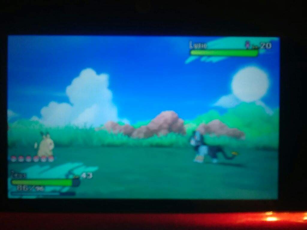 1024x768 Island Scan Luxio. Pokémon Amino