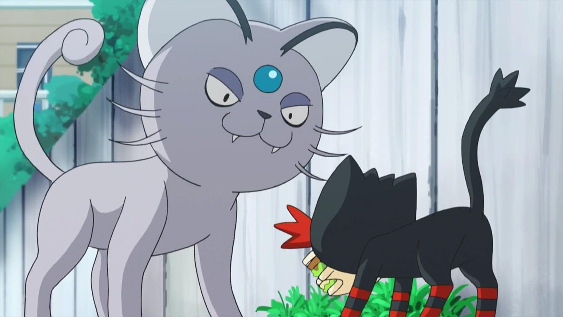 1920x1080 All Cat Inspired Pokemon