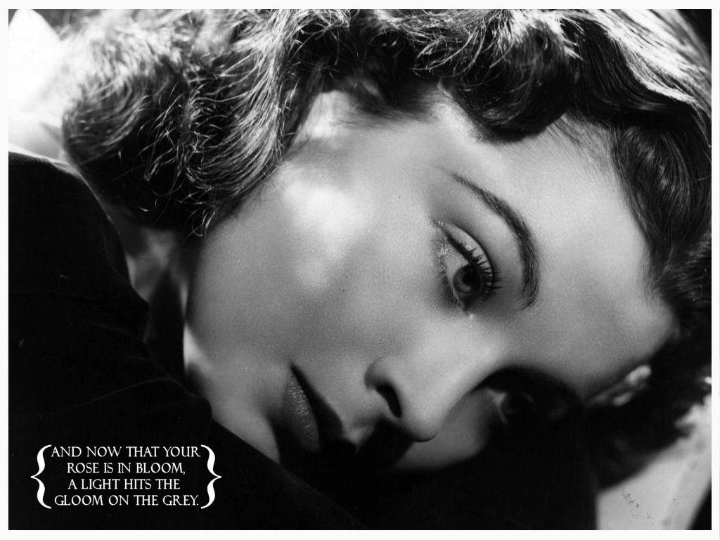 1024x768 Vivien Wallpaper Leigh Wallpaper