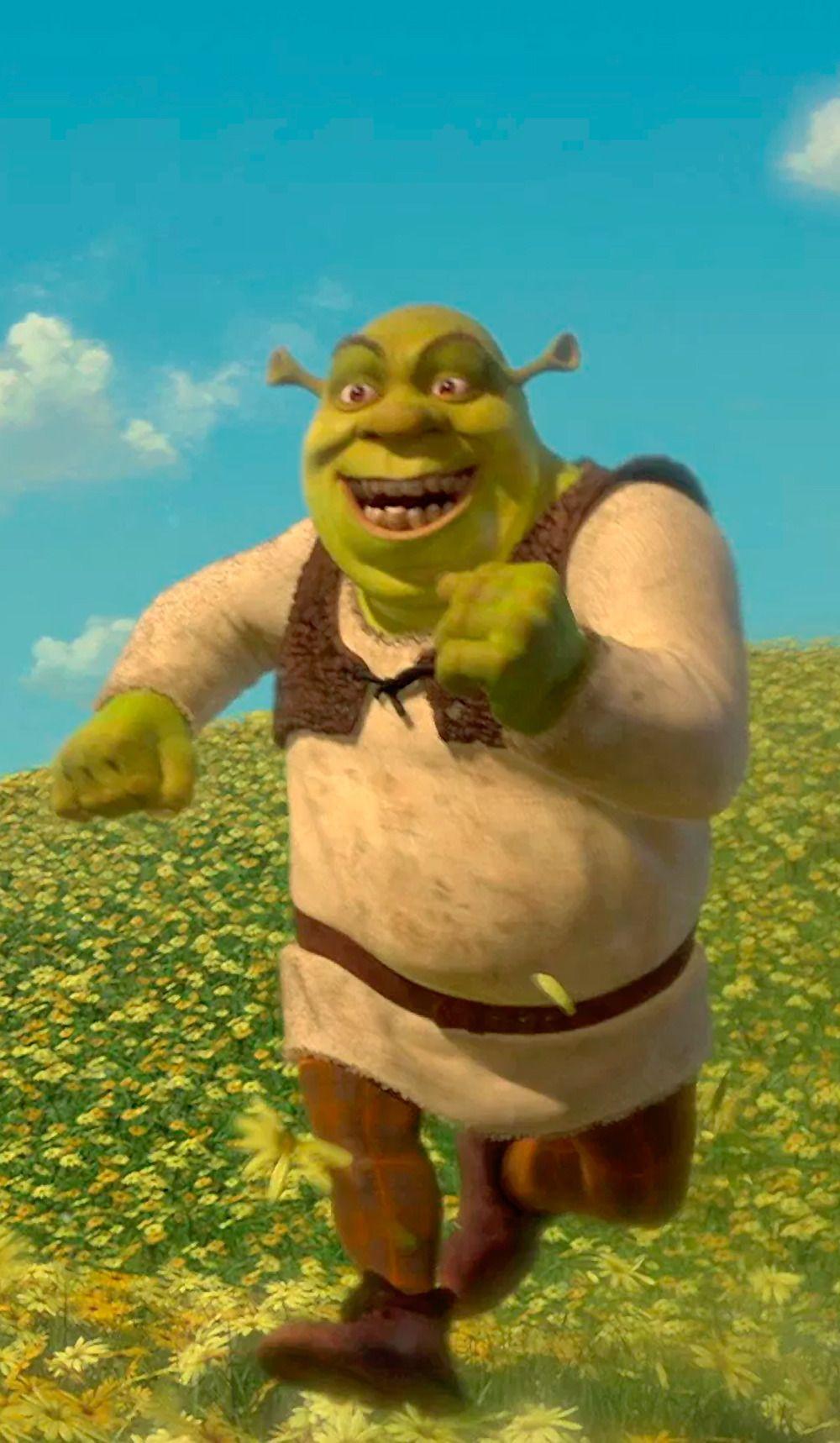 1000x1718 Shrek Memes hình nền